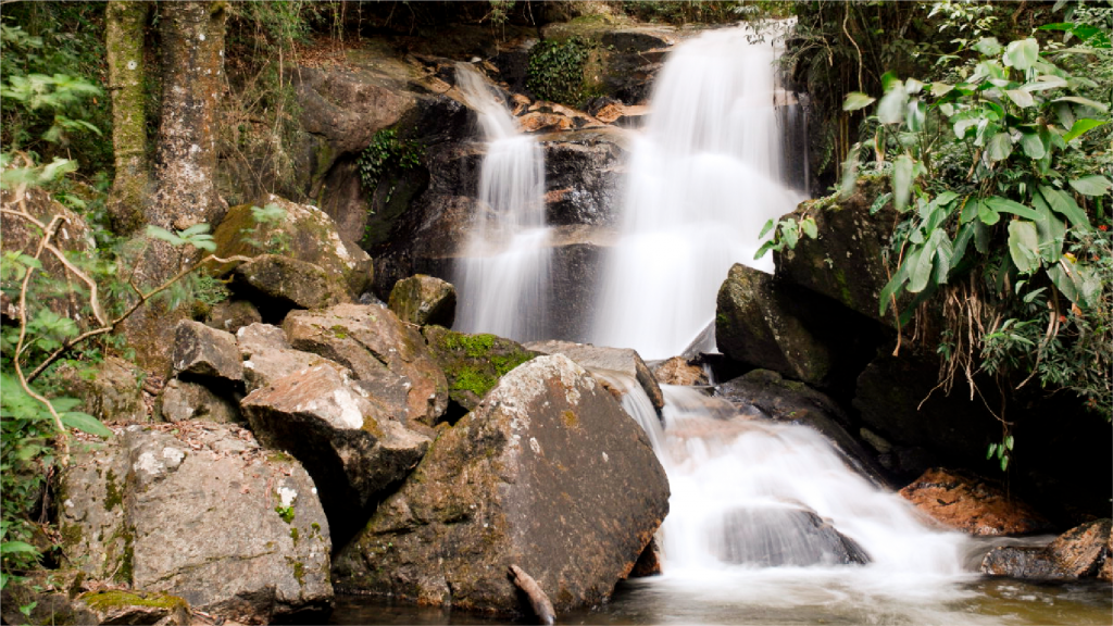 Ecoturismo na Serra do Japi: Um Refúgio Natural Perto da cidade.