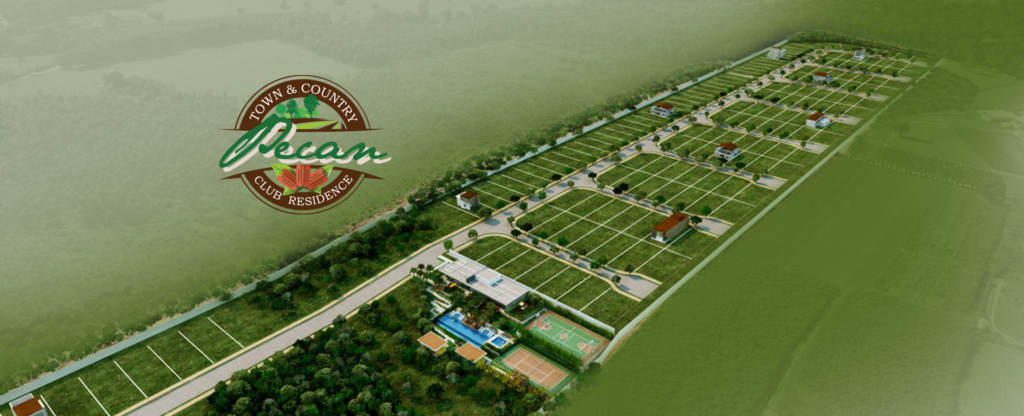 Pecan Town & Country